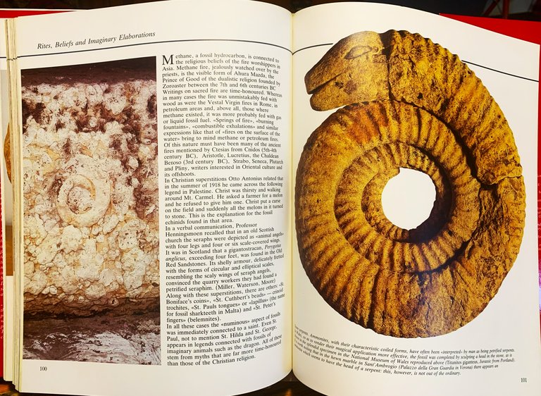 Fossils. Unknown Companions