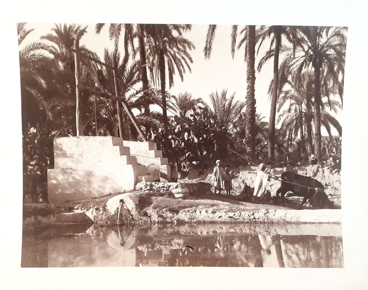 Fotografia originale foto Muzi Tripoli anni '30