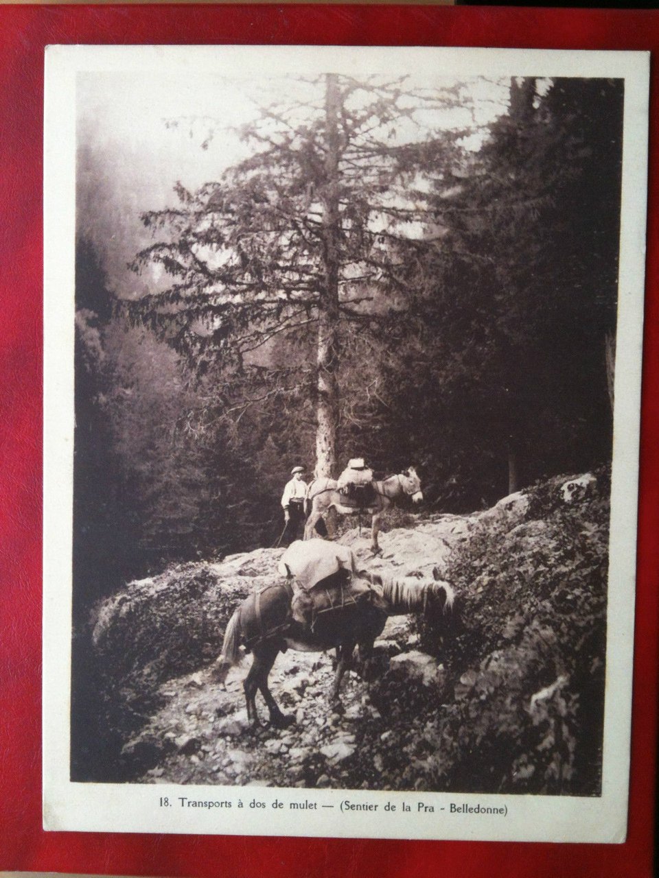 Fotoincisione/Photogravure inizi '900 Francia Sentier de la Pra Belledonne