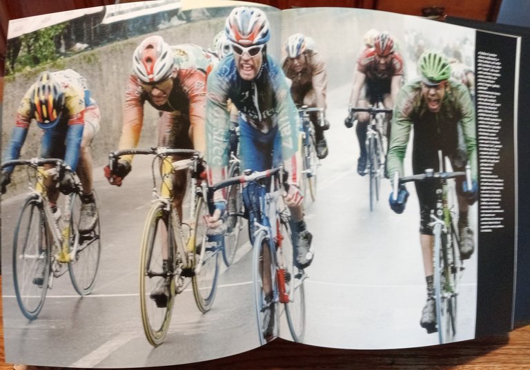 Gruppo Euromobil. Un'impresa di Design tra Arte e Sport