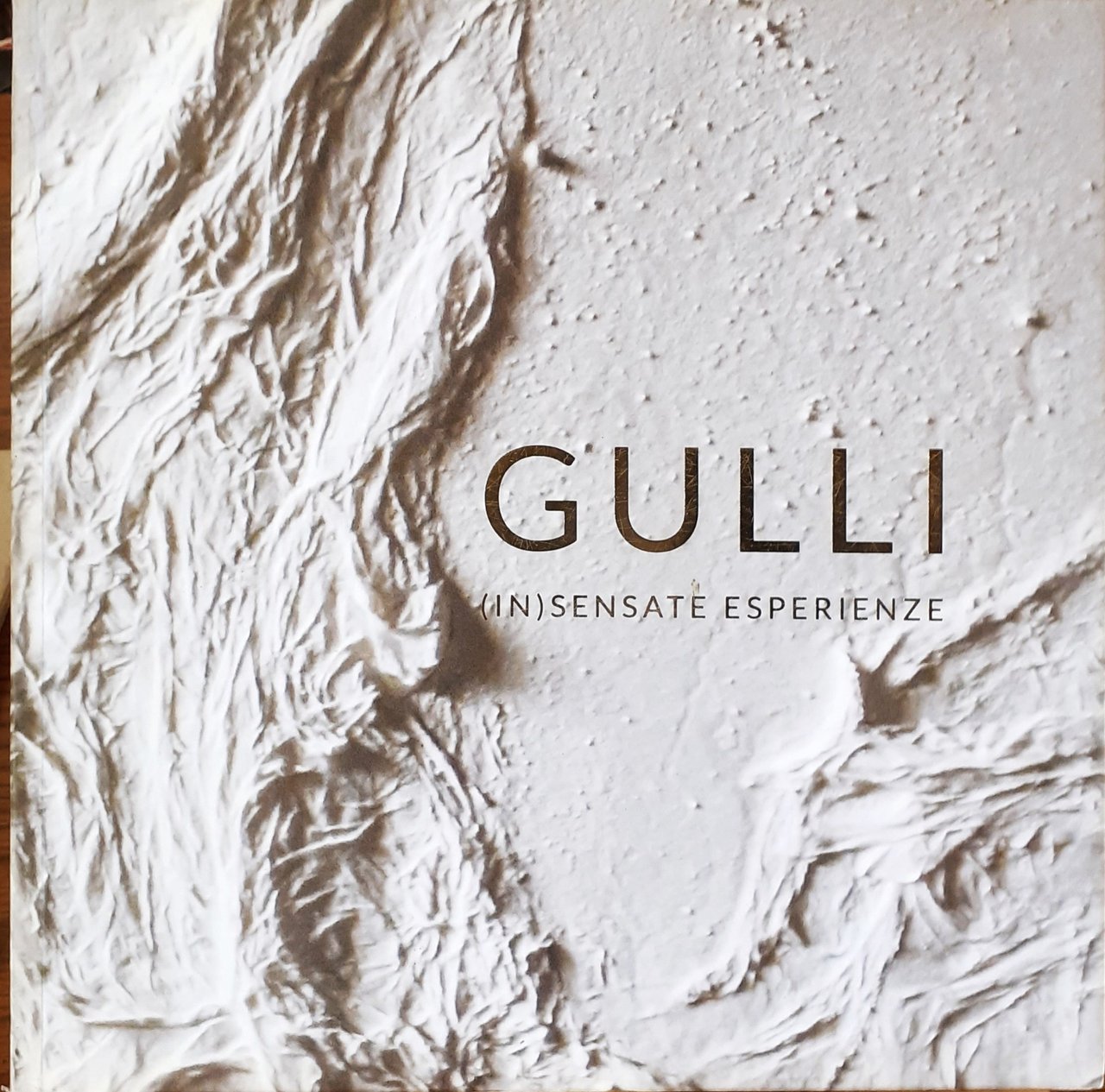 Gulli (IN) ESPERIENZE Villa Morosini Polesella 2015 | Immagine principale