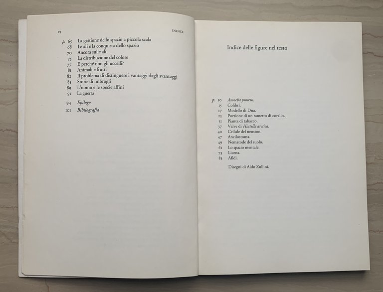 I giochi della natura. L'evoluzione all'opera