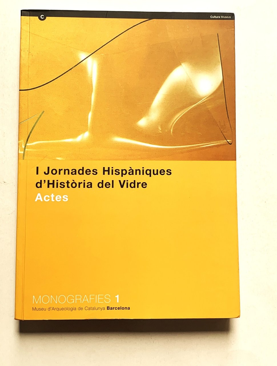 I Jornades Hispàniques d'Història del Vidre. Actes: Barcelona, 2001 | Immagine principale