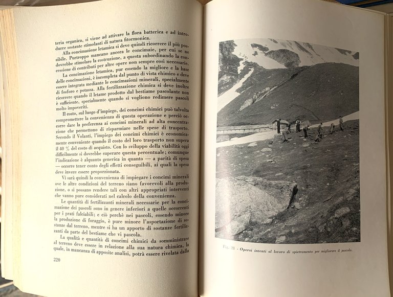 I pascoli nei comuni montani del Piemonte