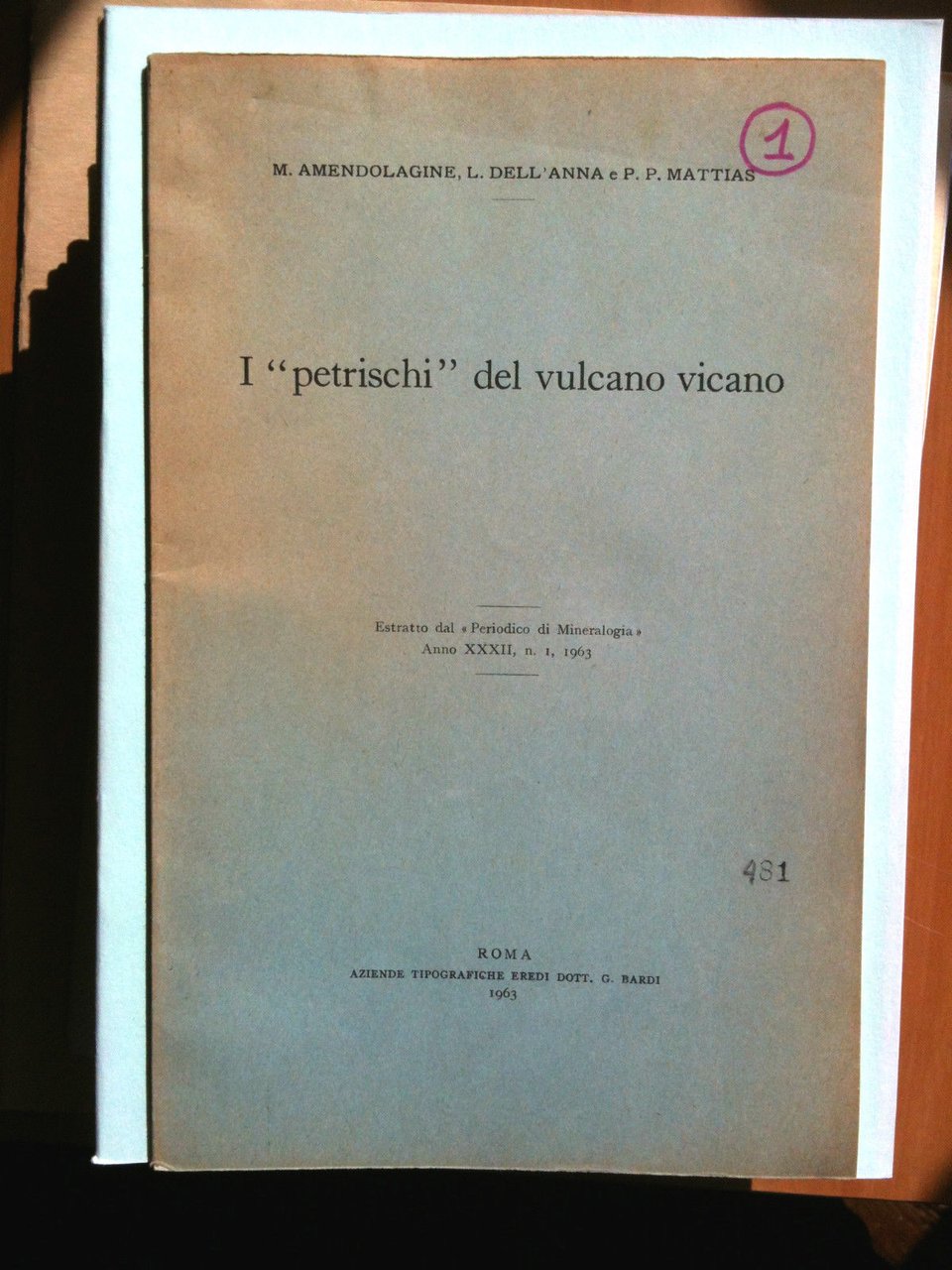 I "petrischi" del vulcano vicano 1963