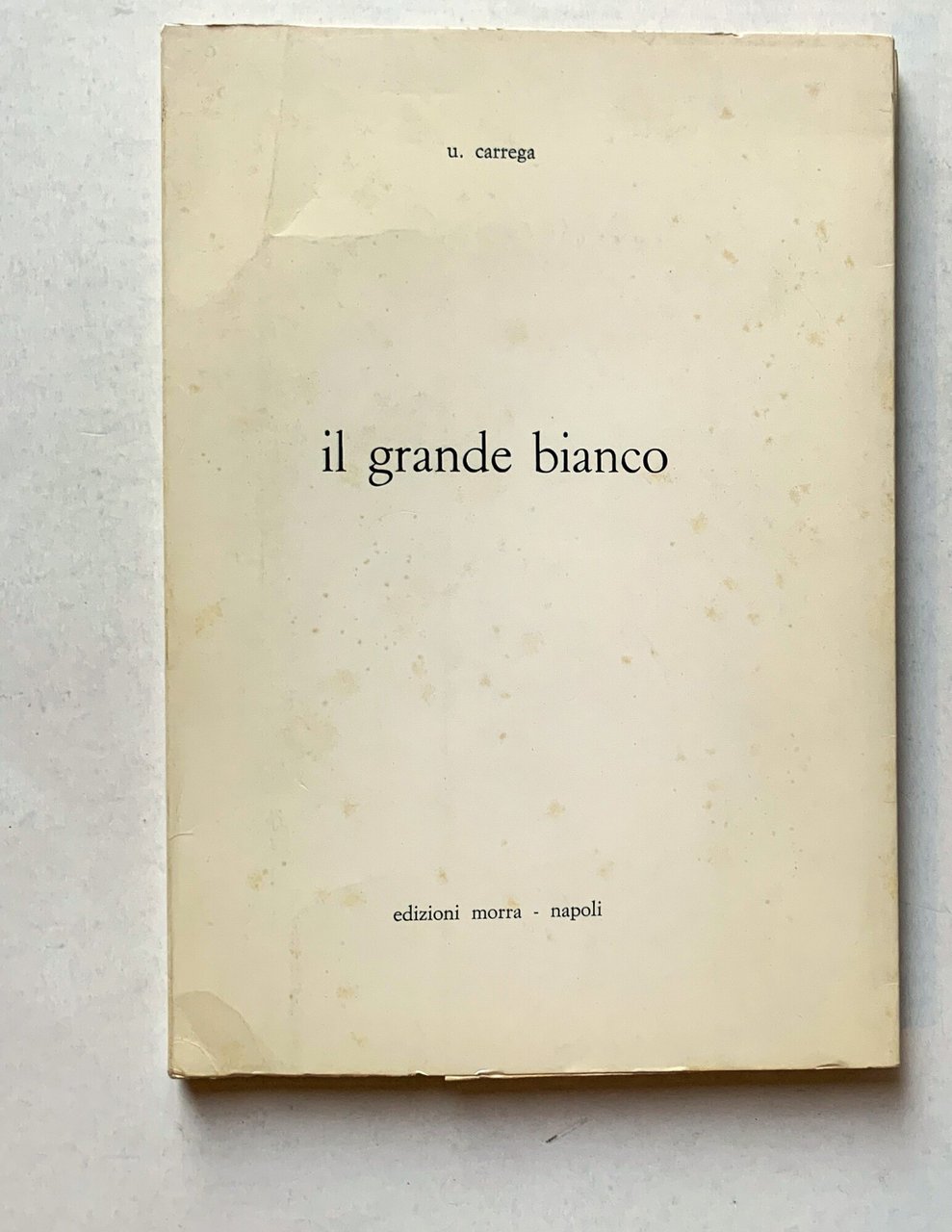 il grande bianco | Immagine principale