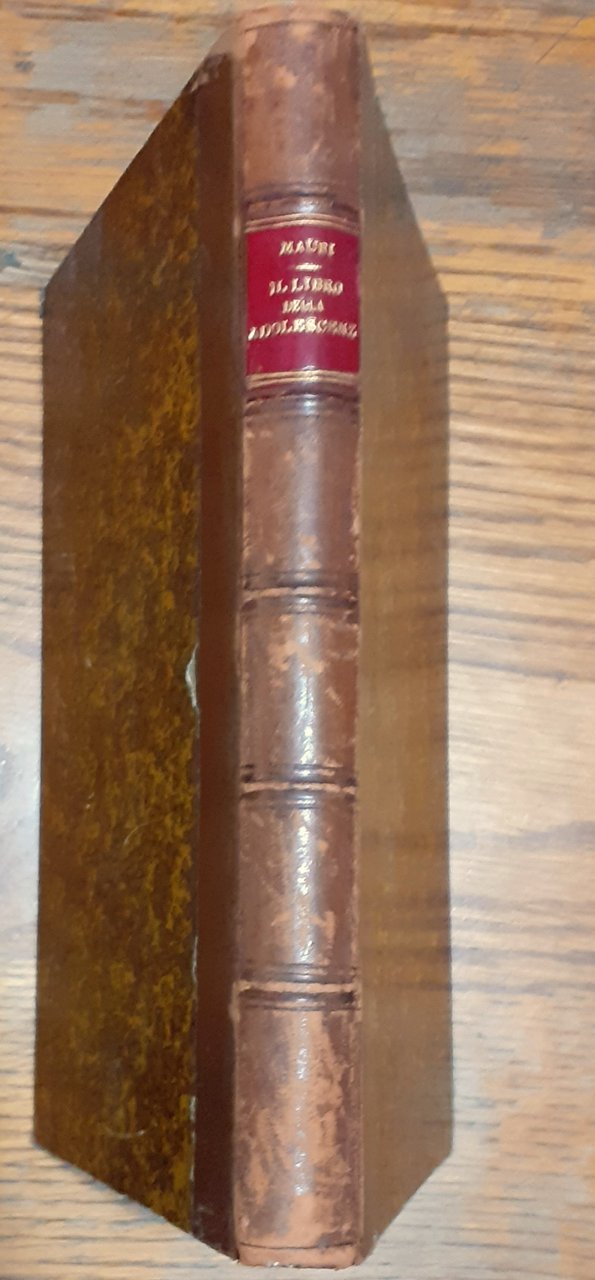 Il libro dell'adolescenza