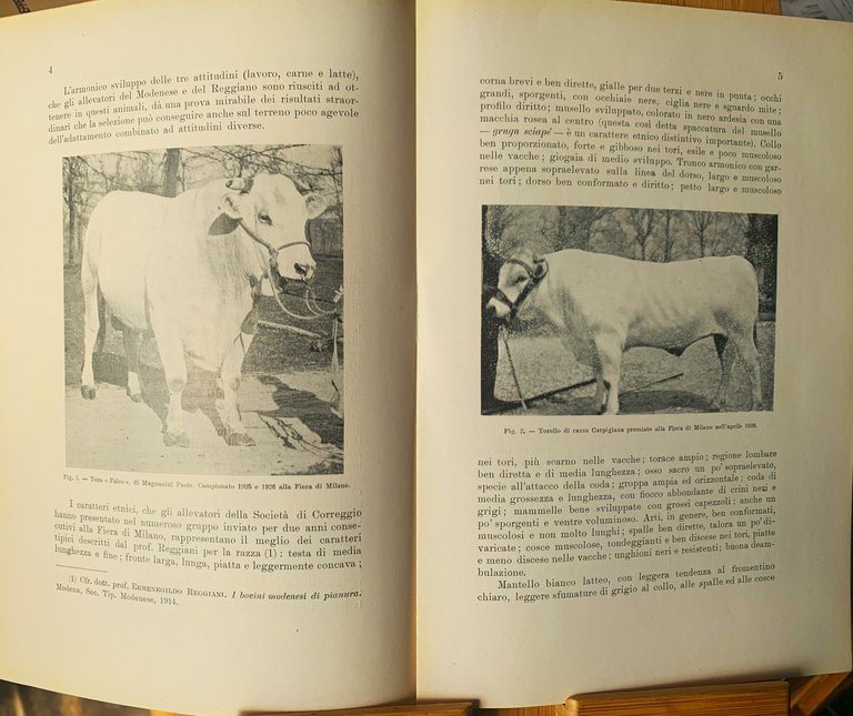 Il miglioramento della Razza Bovina Modenese e la Società di …