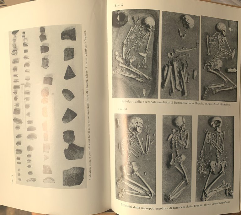 Il Museo Chierici di Paletnologia