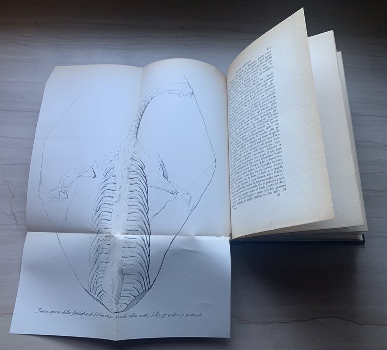 Il Politecnico. Repertorio mensile di studj applicati alla prosperità e … | Immagine Gallery 5