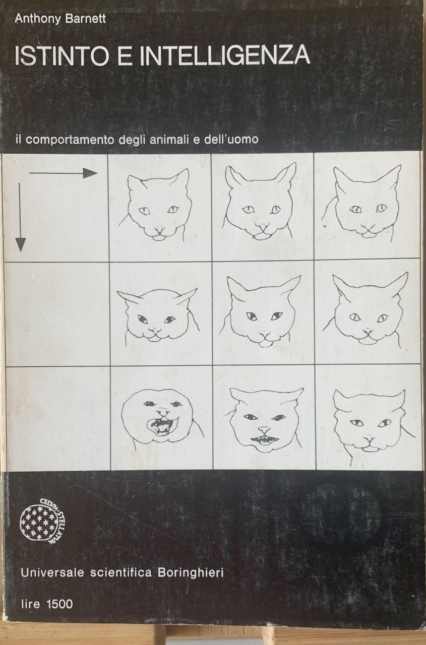 ISTINTO E INTELLIGENZA