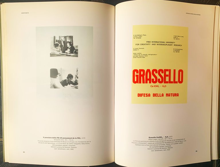 J. Beuys. Operació: difesa della natura