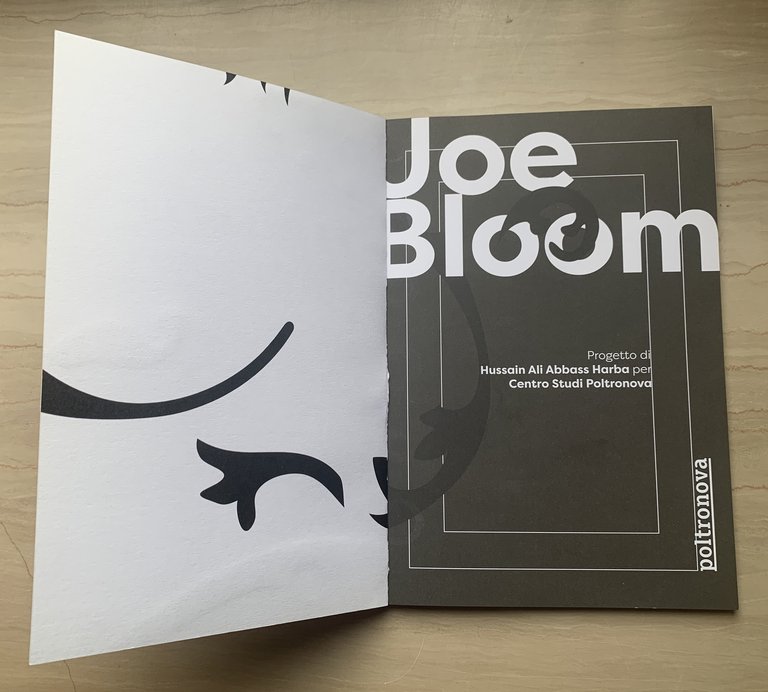 Joe Bloom. Progetto di Hussain Ali Abbass Harba per Centro …