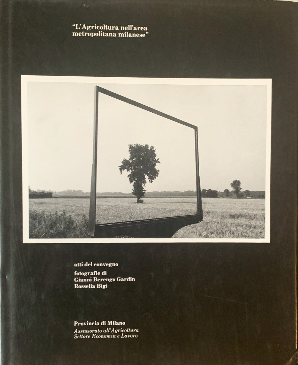 L'agricoltura nell'area metropolitana milanese: atti del convegno