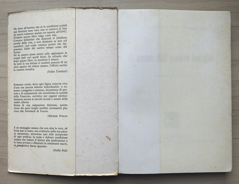 L'anno dei passi lunghi. Una storia del Brasile d'oggi