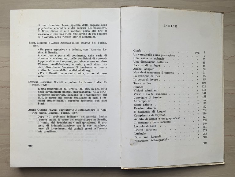 L'anno dei passi lunghi. Una storia del Brasile d'oggi