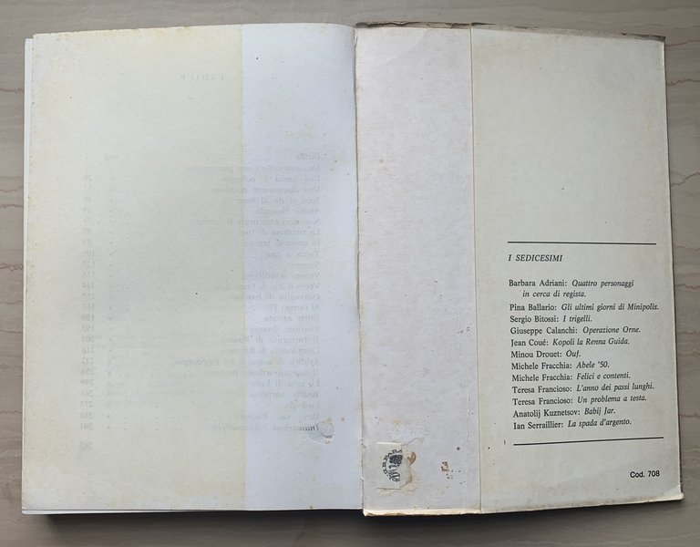 L'anno dei passi lunghi. Una storia del Brasile d'oggi