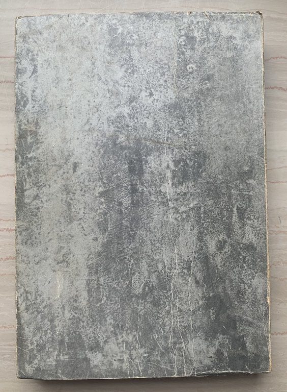 L'anno dei passi lunghi. Una storia del Brasile d'oggi