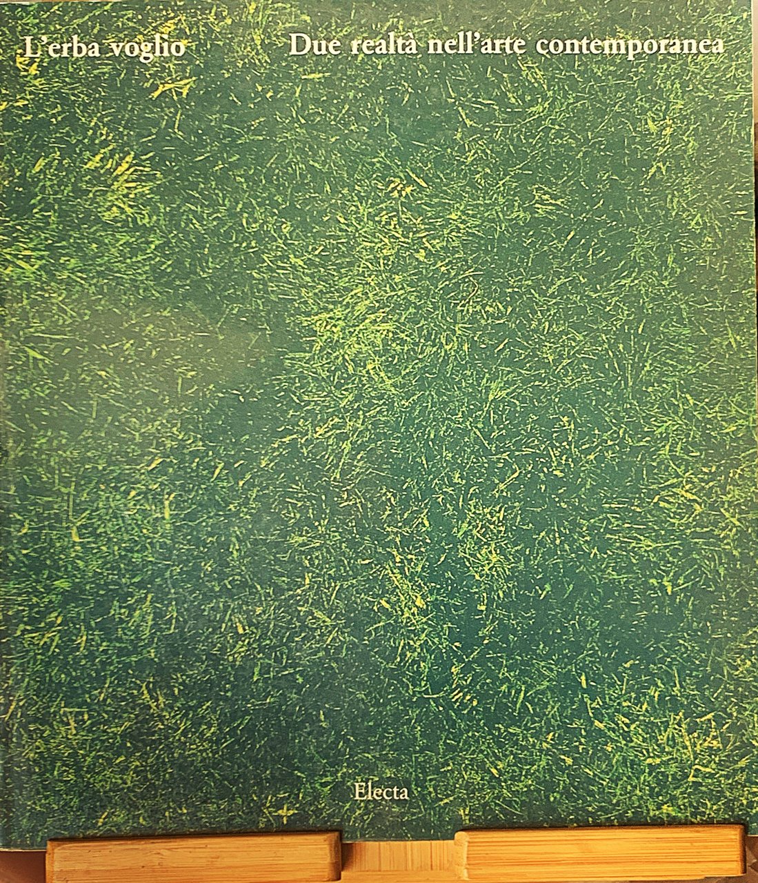 L'erba voglio. Due realtà nell'arte contemporanea