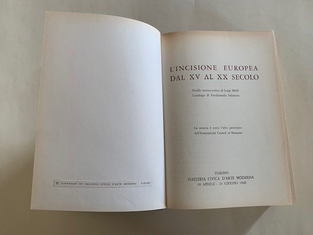 L'incisione europea dal XV al XX secolo