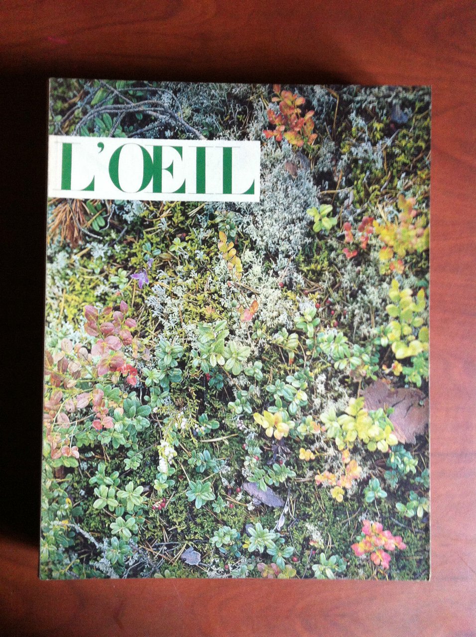 L'Oeil revue d'art n^ 98 Février 1963 Couverture: Villa Mairea …