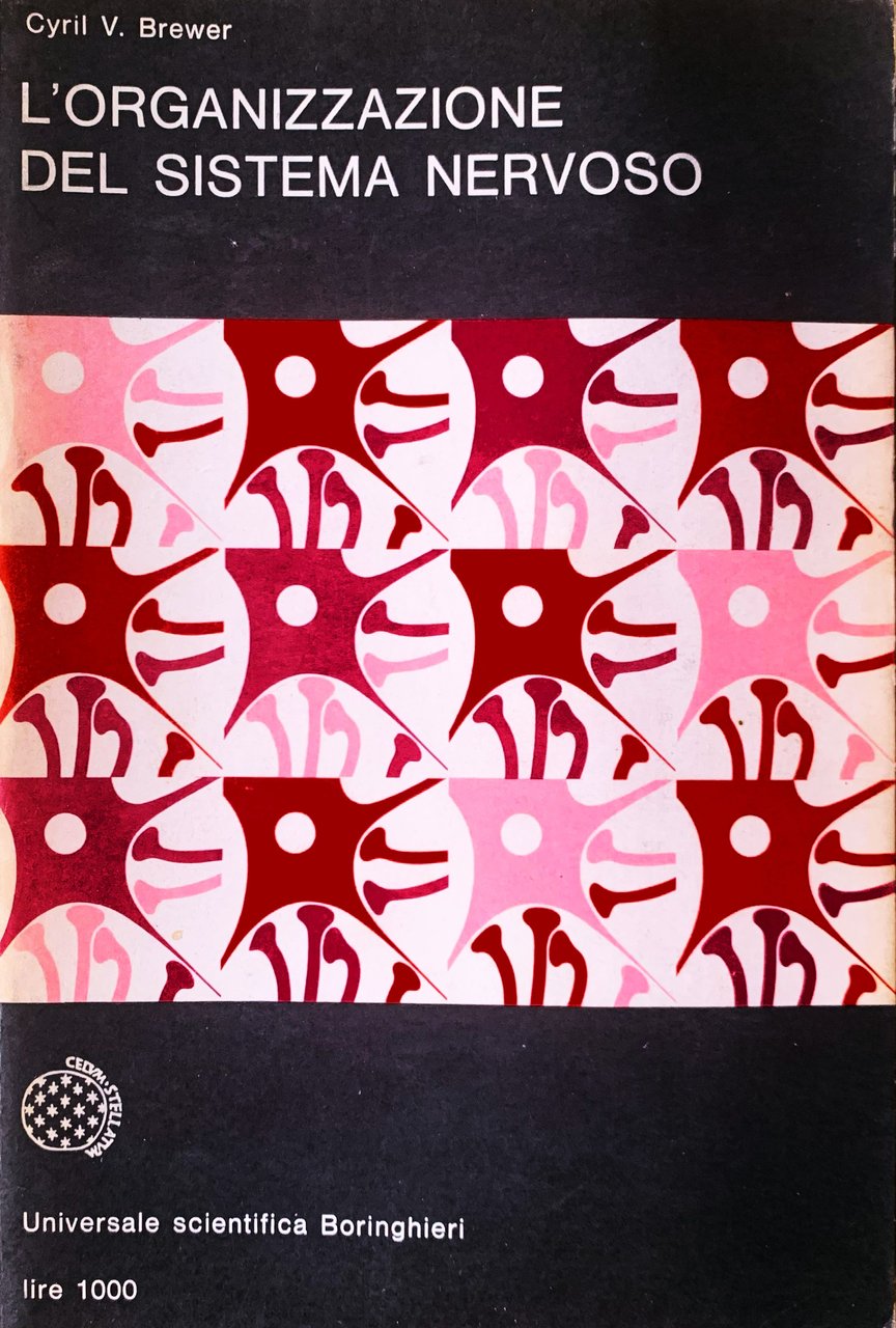 L'organizzazione del sistema nervoso