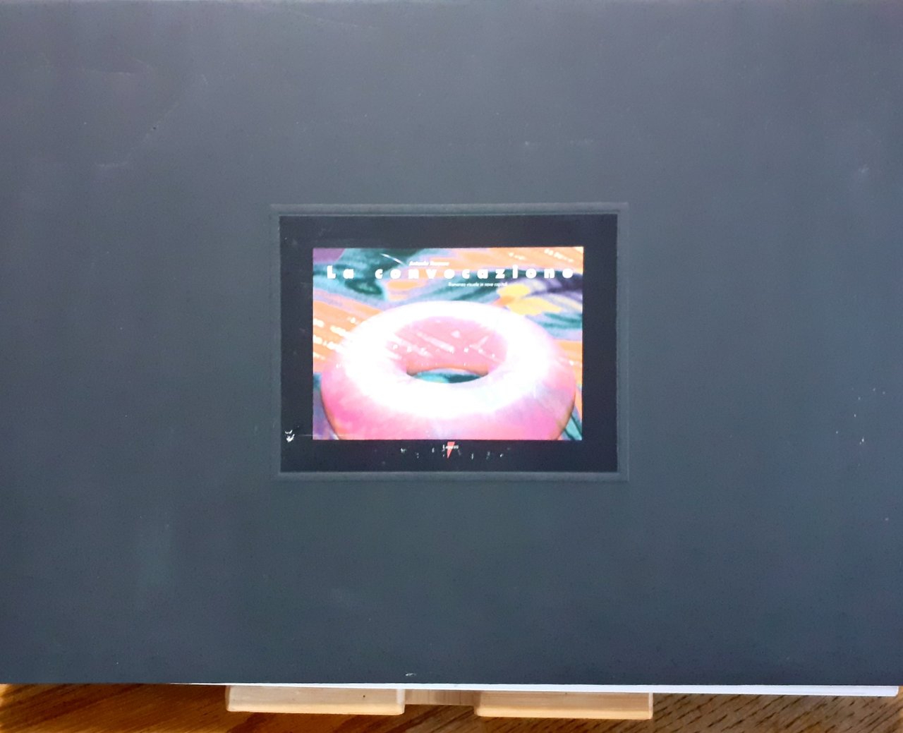 La Convocazione. Romanzo visuale in nove capitoli