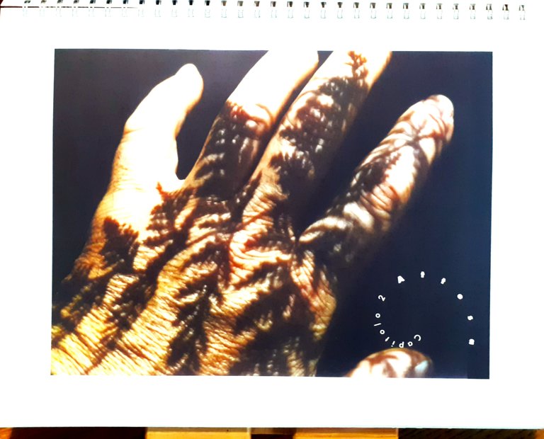 La Convocazione. Romanzo visuale in nove capitoli