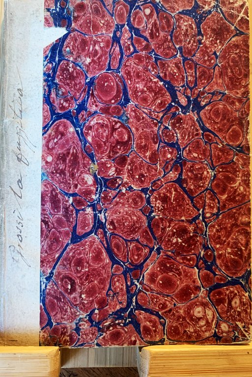 La fuggitiva. Novella in dialetto milanese con la traduzione libera …