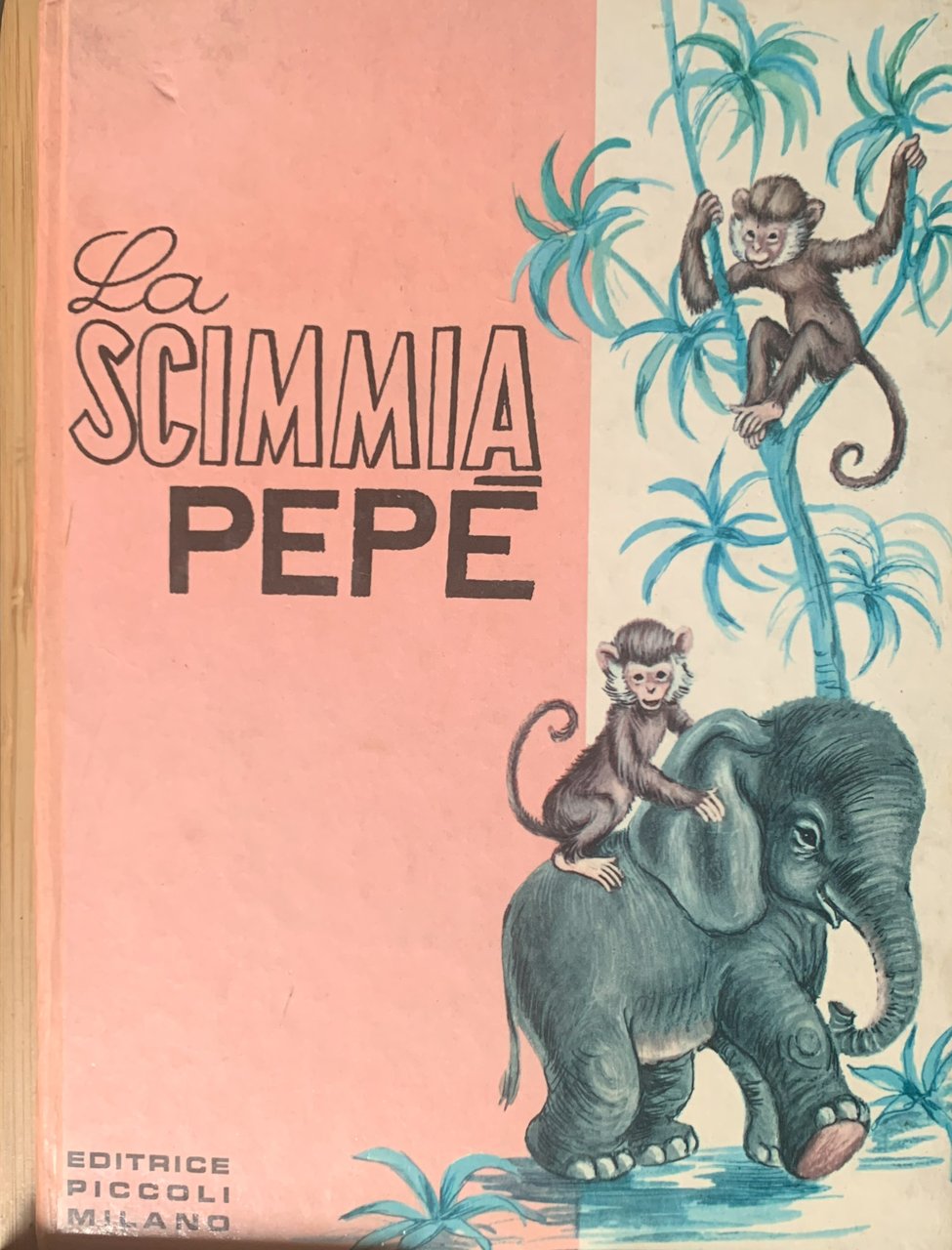 La scimmia Pepè | Immagine principale