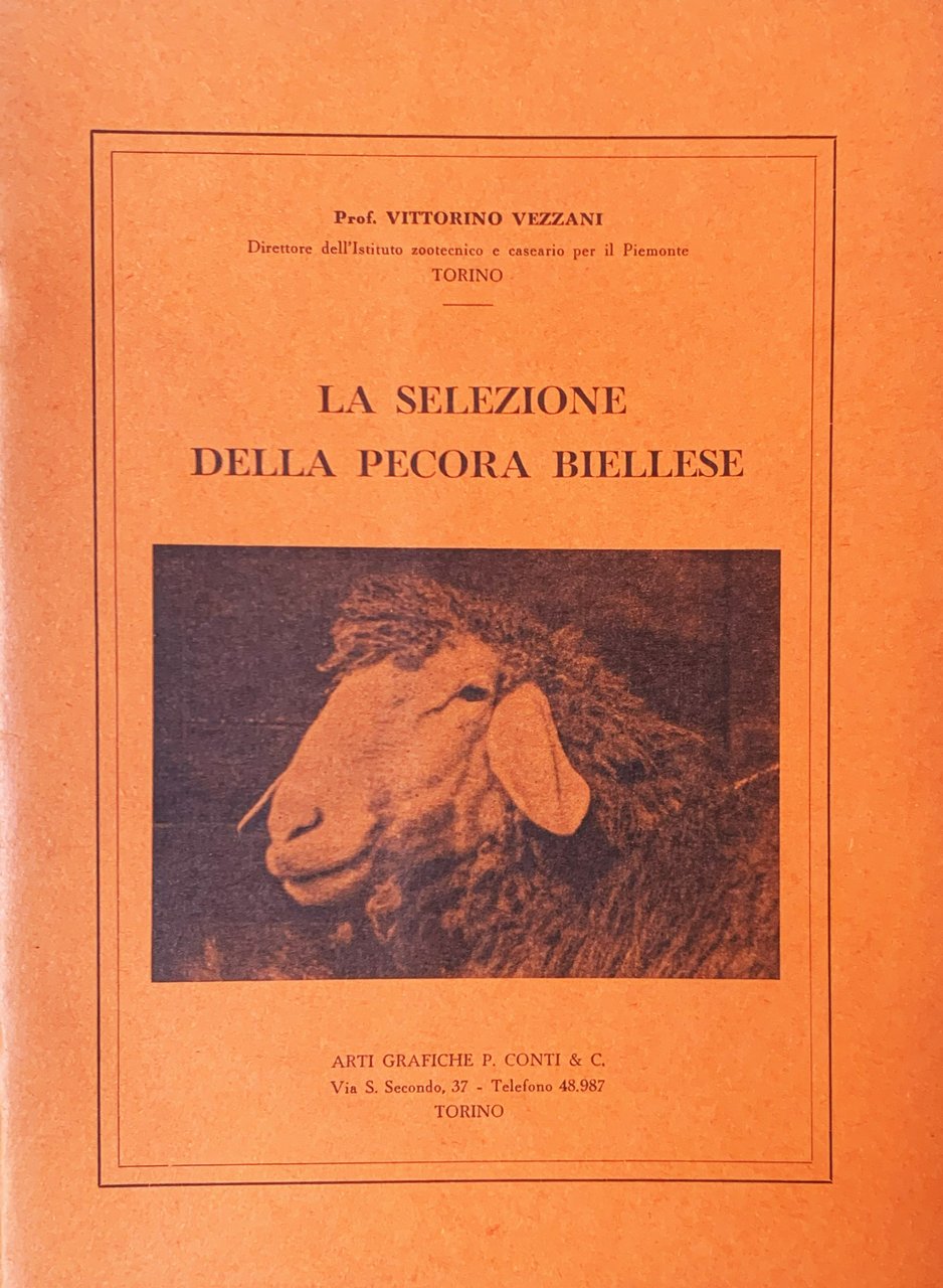 La selezione della pecora Biellese | Immagine principale
