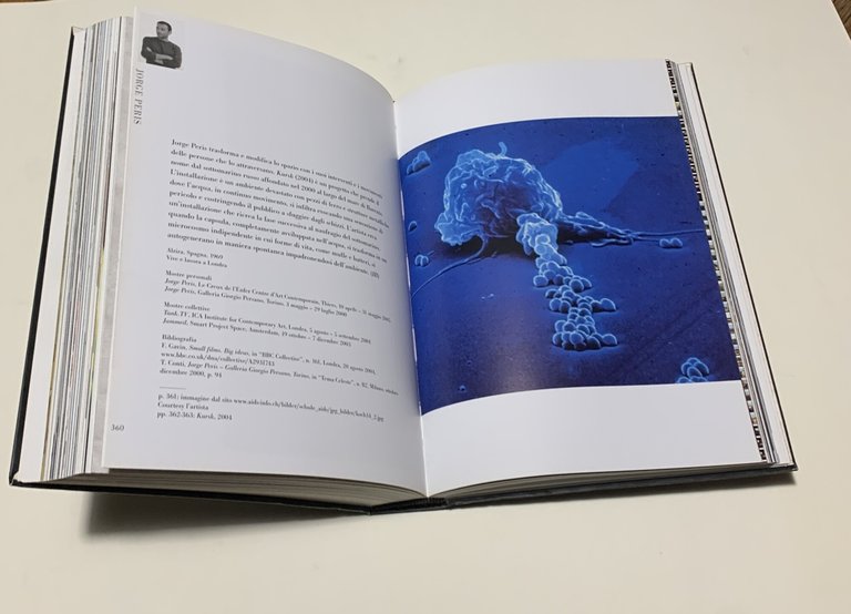 La sindrome di Pantagruel | Immagine Gallery 2