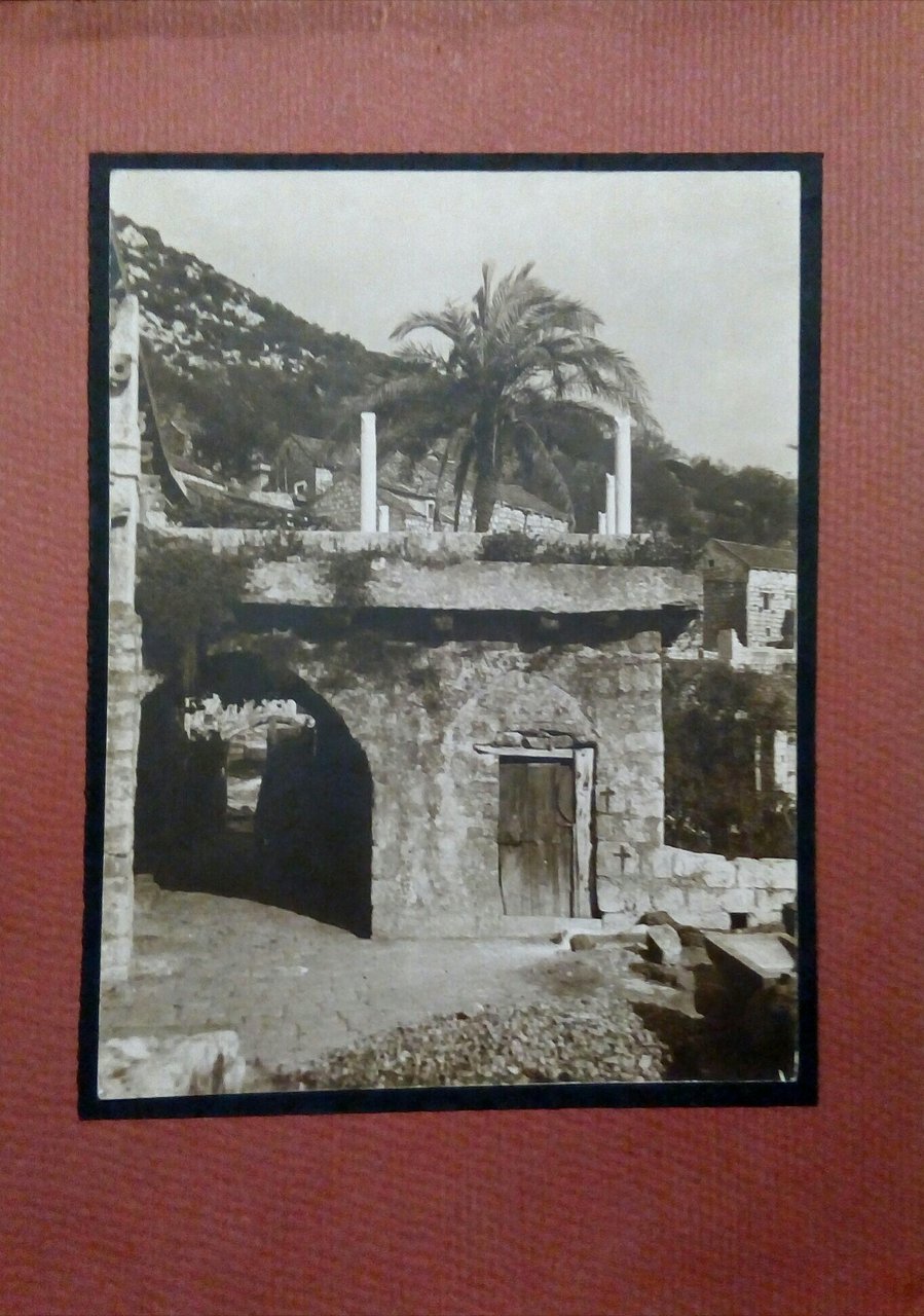 Lagosta Fotografia originale anni '20