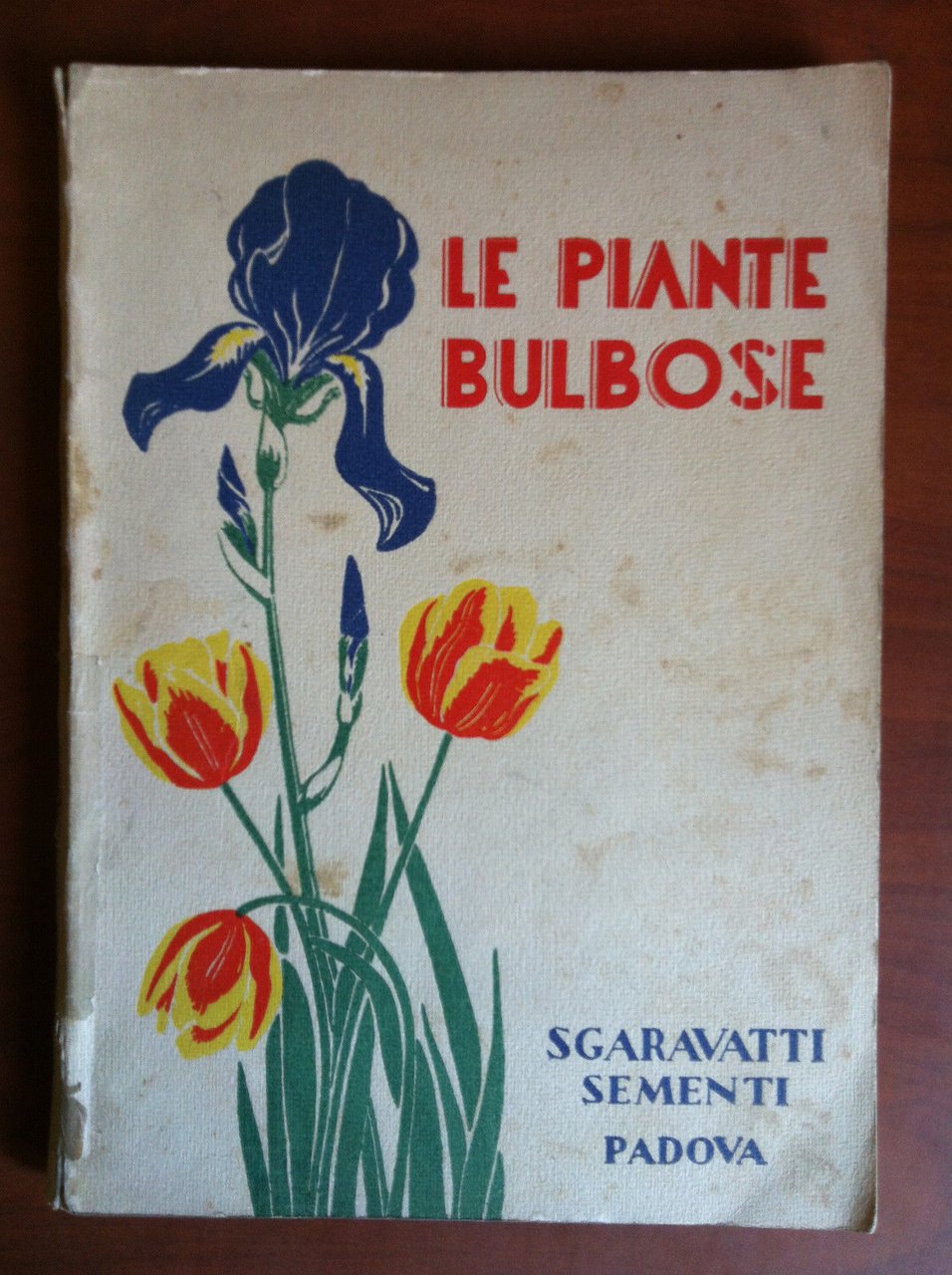 Le piante bulbose Sgaravatti sementi Padova - E13461