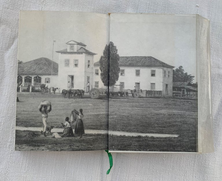 Les moissons de Caïn: roman | Immagine Gallery 4