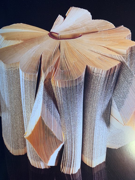 Liberazione. Collezione Aprile di Cimia