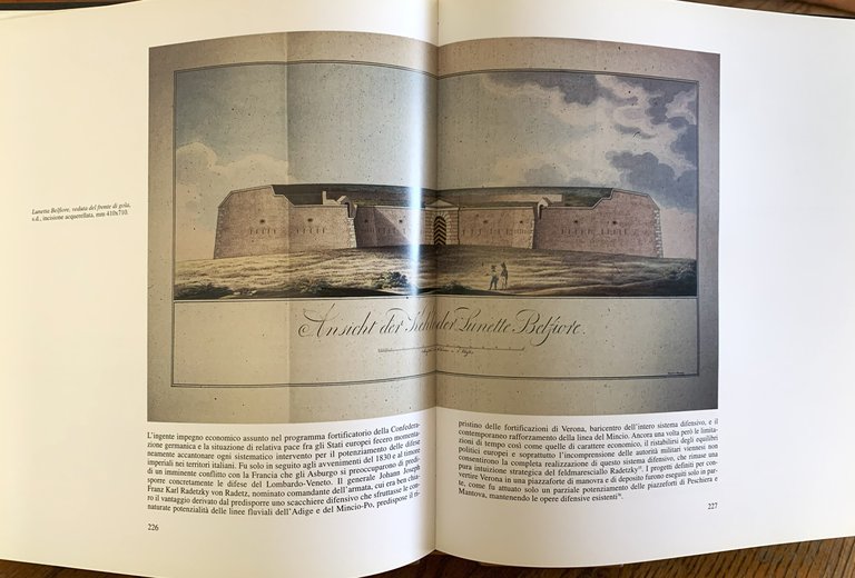 Mantova e il suo territorio