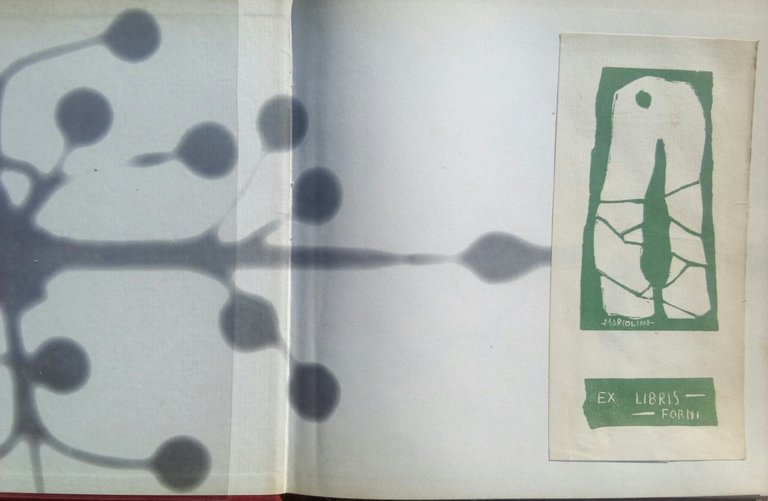 MAX ERNST palazzo Grassi 1966 con ex libris di Marcolino …