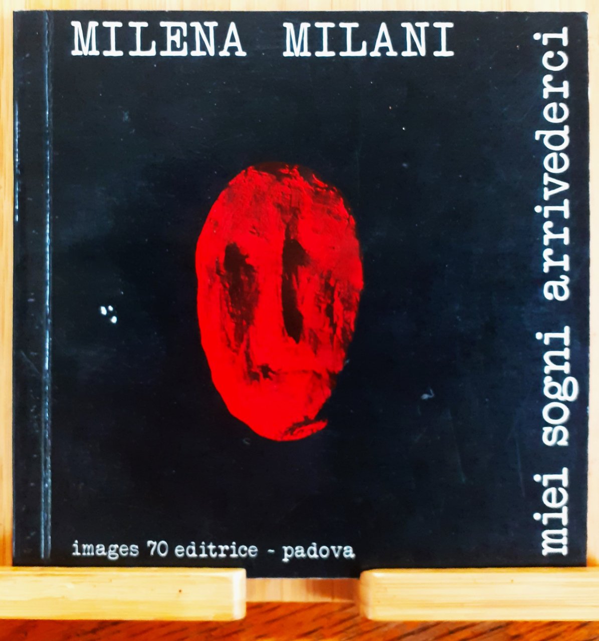 Milena Milani Miei sogni arrivederci | Immagine principale