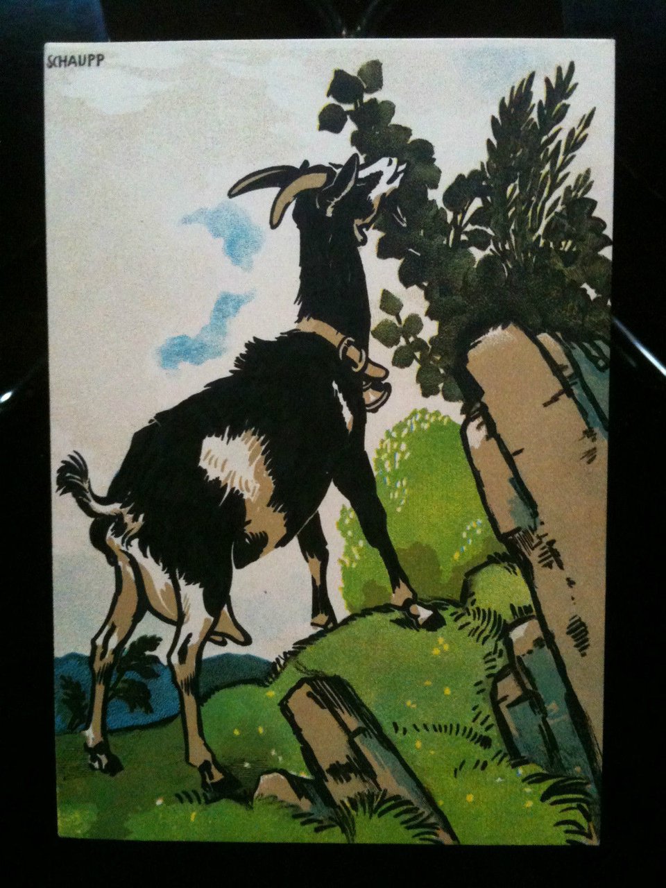 Mono n^ 4 Chromolitohgraphie "Ziege" originalzeichnung Rich. Schaupp 1906