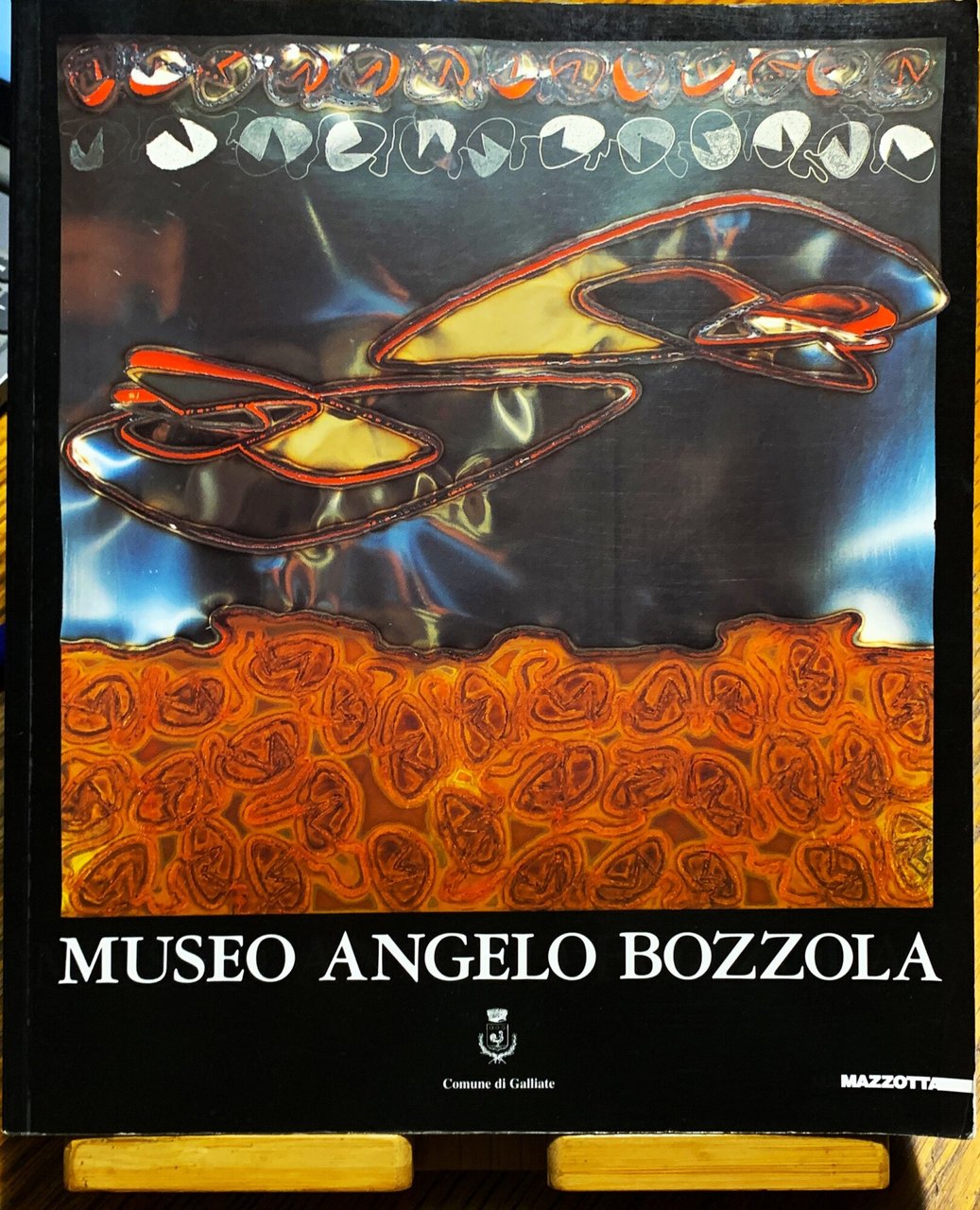 Museo Angelo Bozzola | Immagine principale