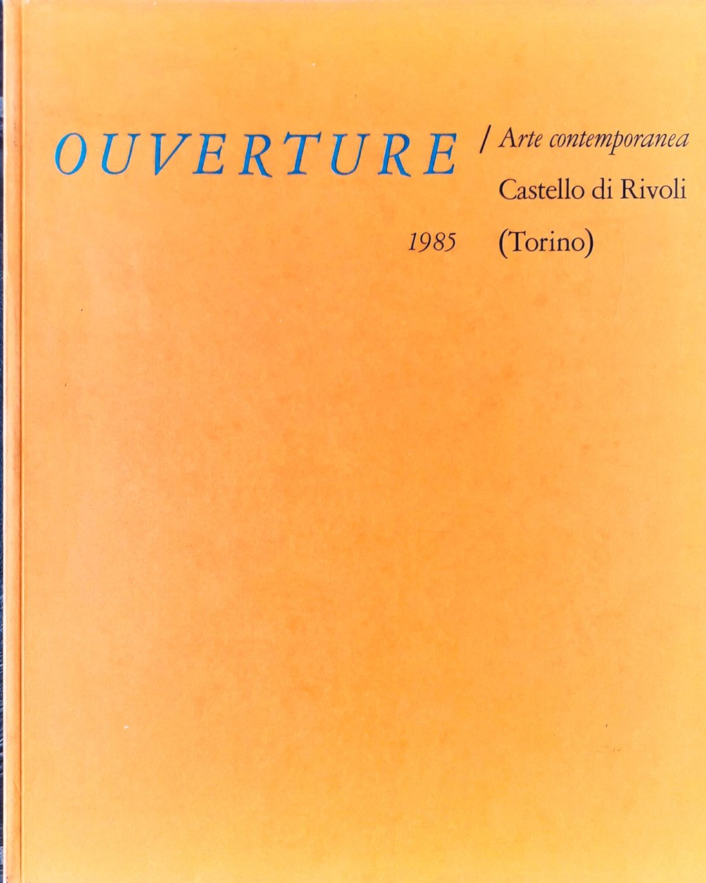 Ouverture / Arte contemporanea - Castello di Rivoli | Immagine principale
