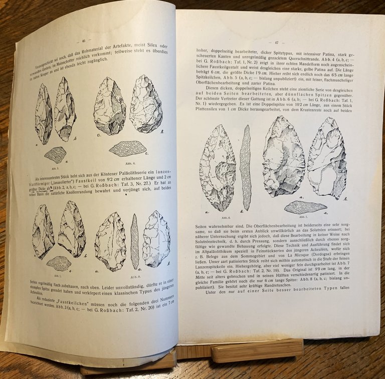 Paläolithbeiträge aus Nordbayern