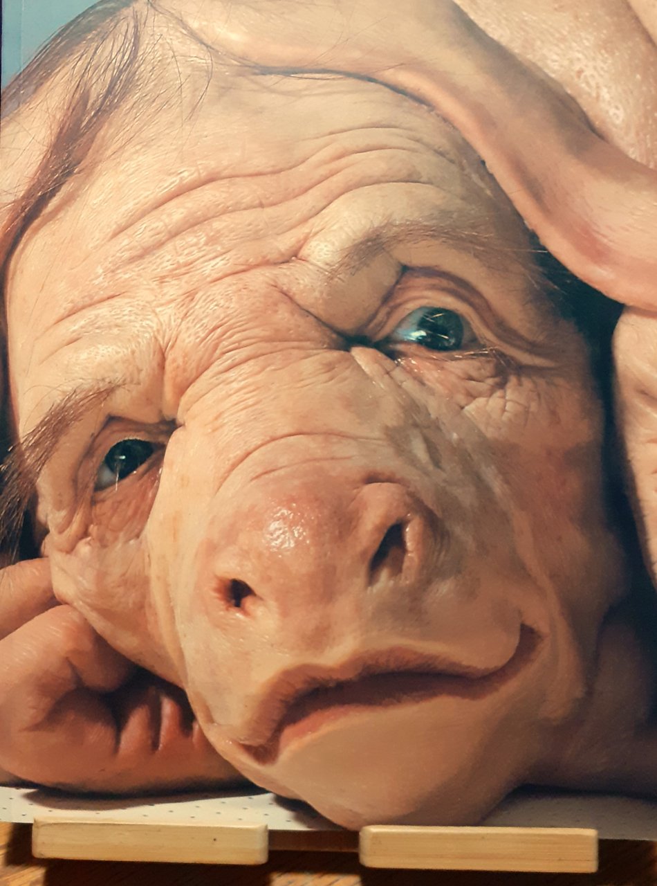 Patrizia Piccinini. We Are Family