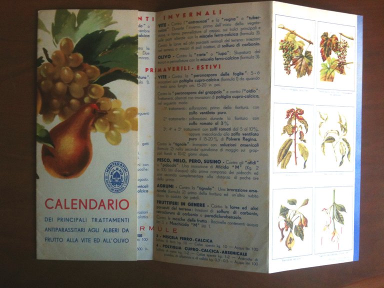 Pieghevole Calendario principali trattamenti antièarassitari alberi 1939 - E8732