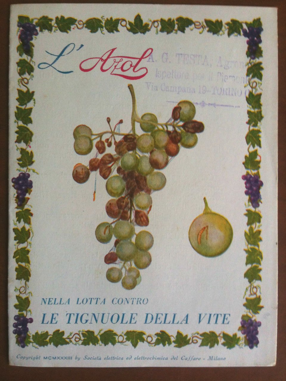 Pieghevole pubblicitario del 1933 "L'Azol" lotta tignuole della vite - …