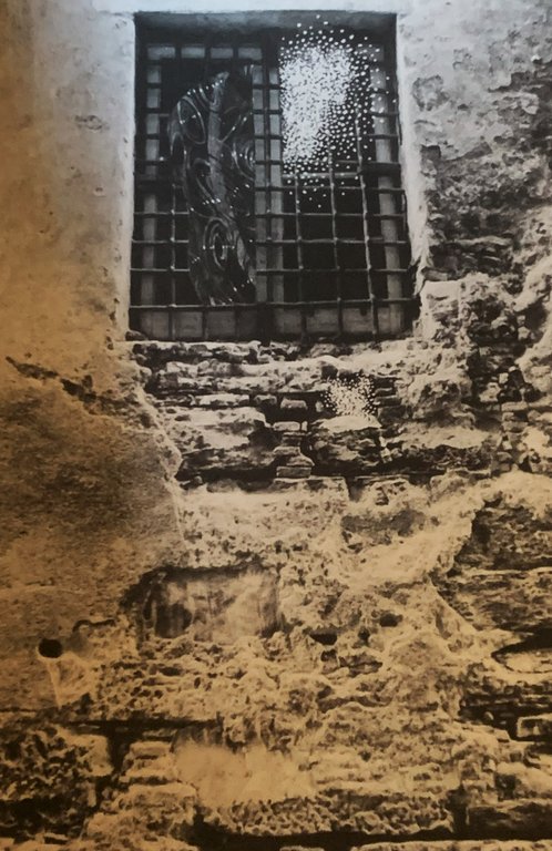 Plinio Mesciulam. Vertigini: elegia per una città