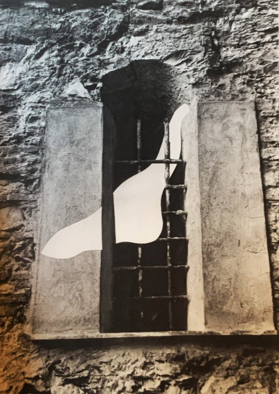 Plinio Mesciulam. Vertigini: elegia per una città