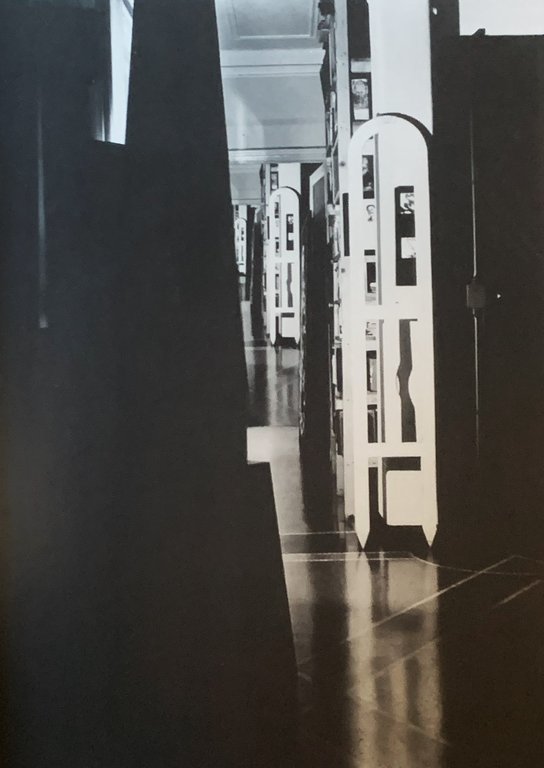 Plinio Mesciulam. Vertigini: elegia per una città