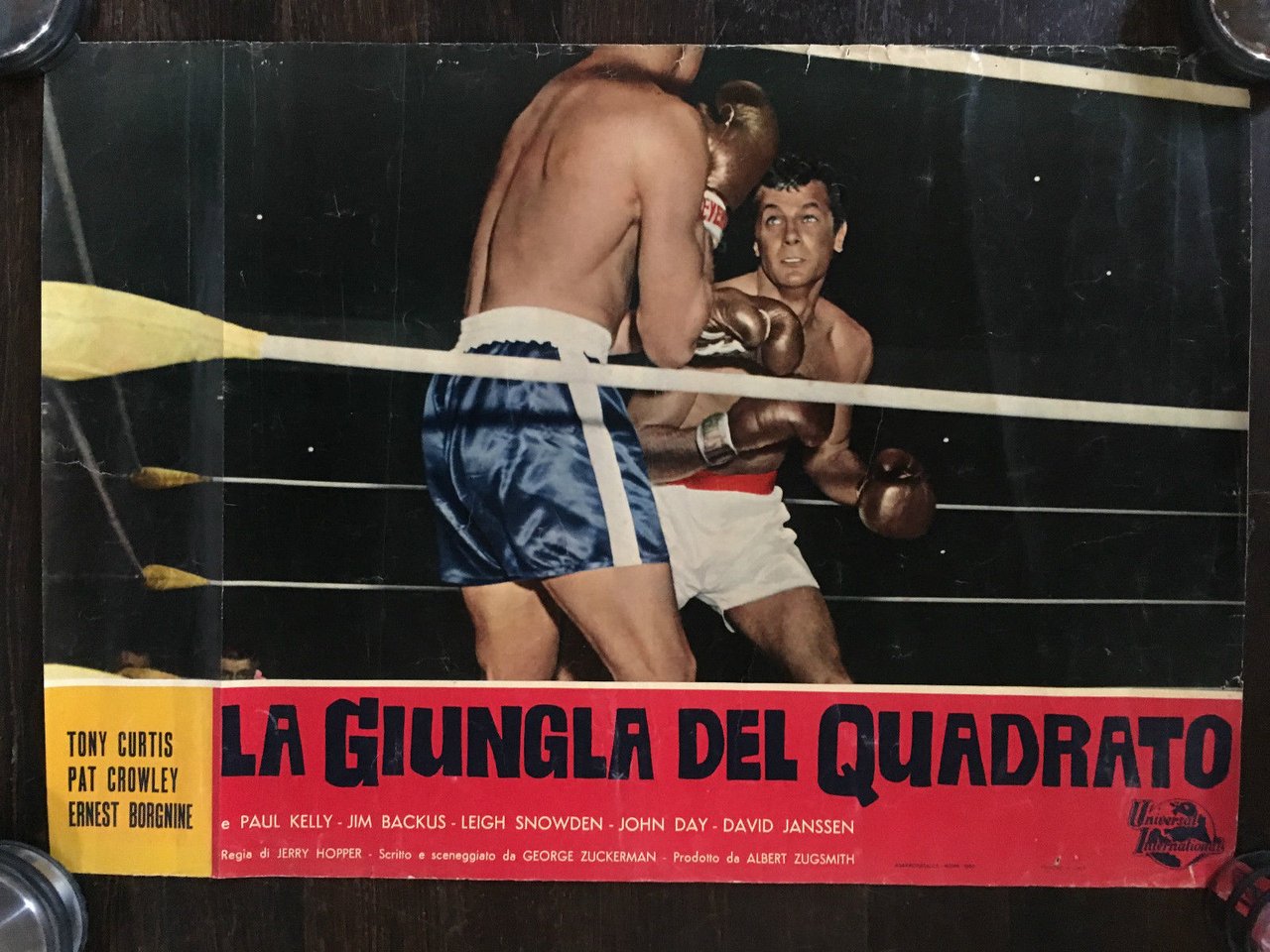Poster de "La giungla del quadrato" 1955 Tony Curtis - …